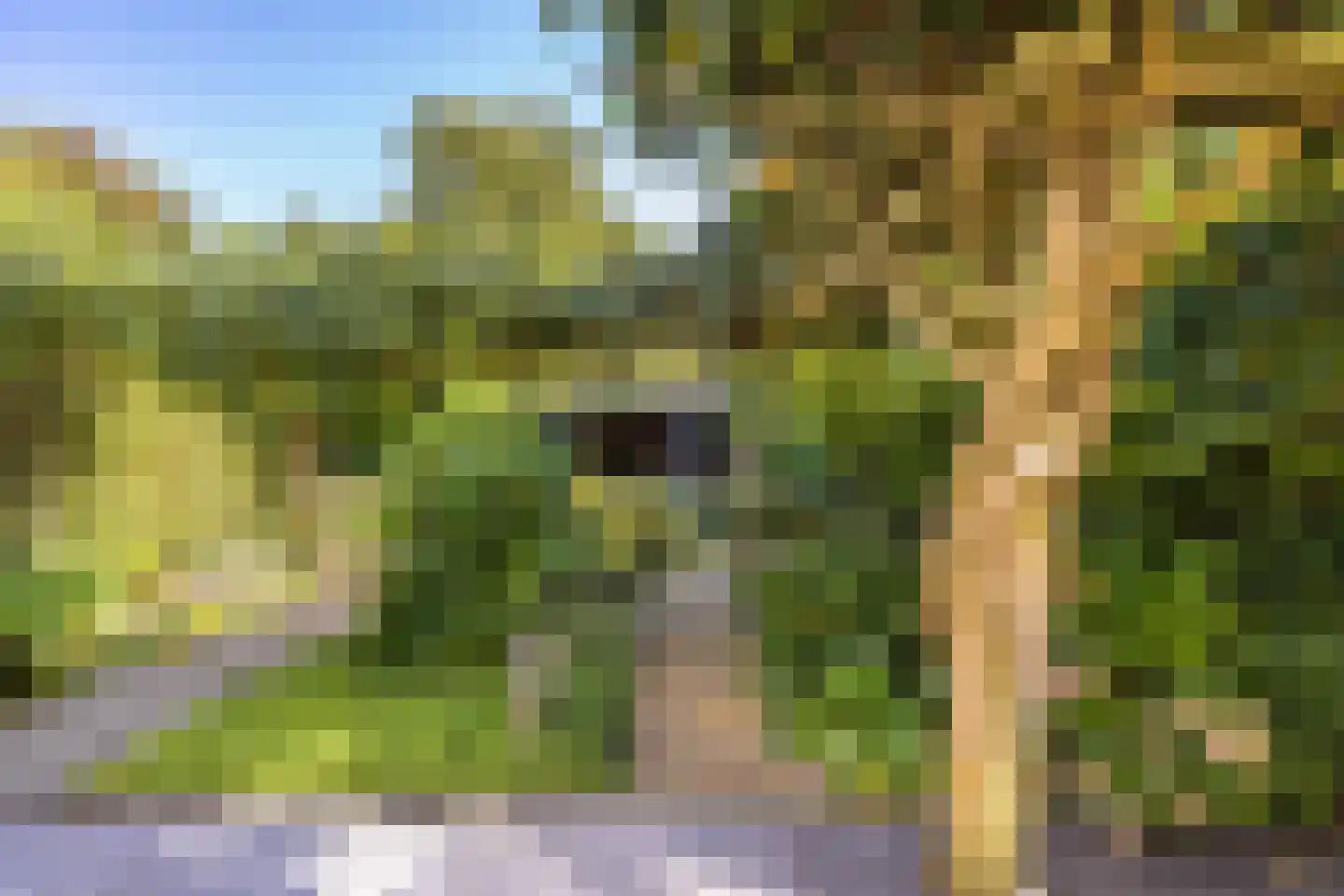 Huygenswende 10 Hillegom thumbnail 50