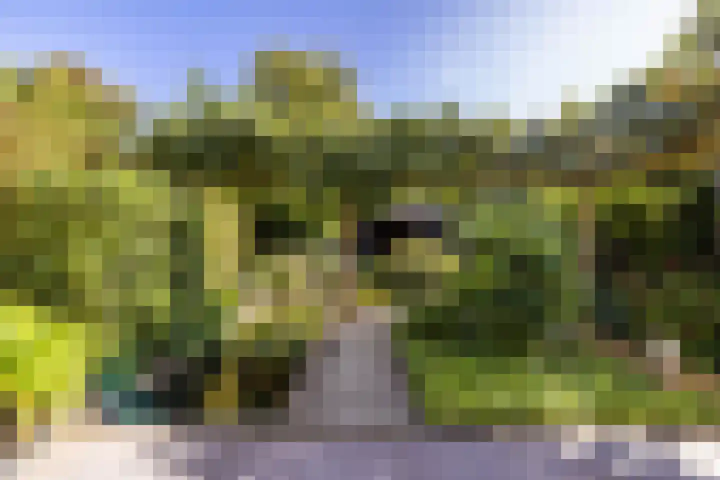 Huygenswende 10 Hillegom thumbnail 51