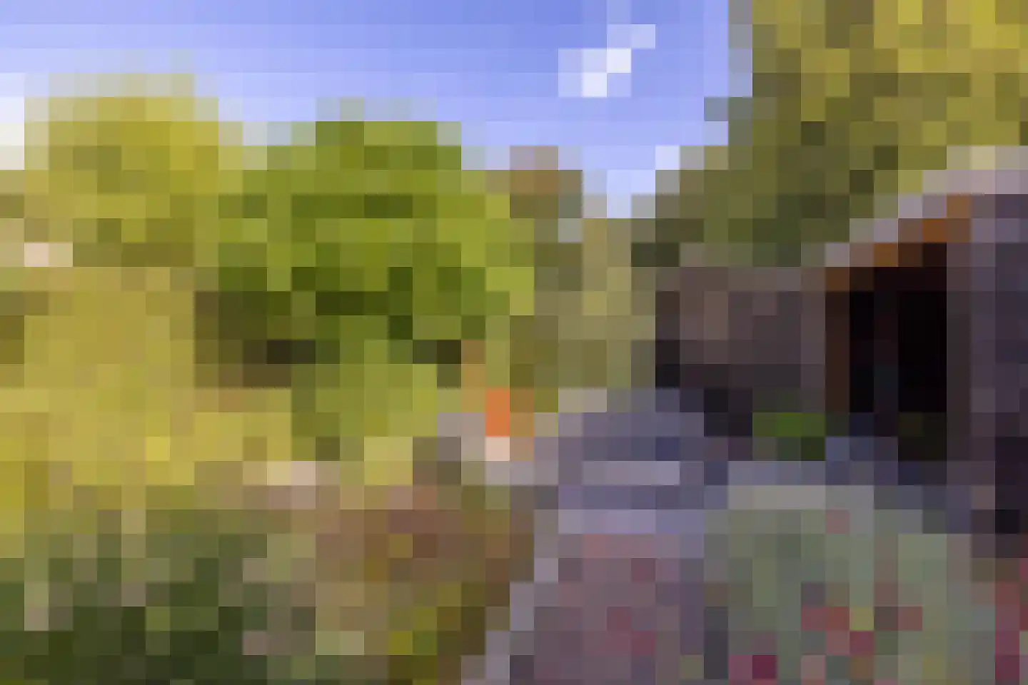 Huygenswende 10 Hillegom thumbnail 52