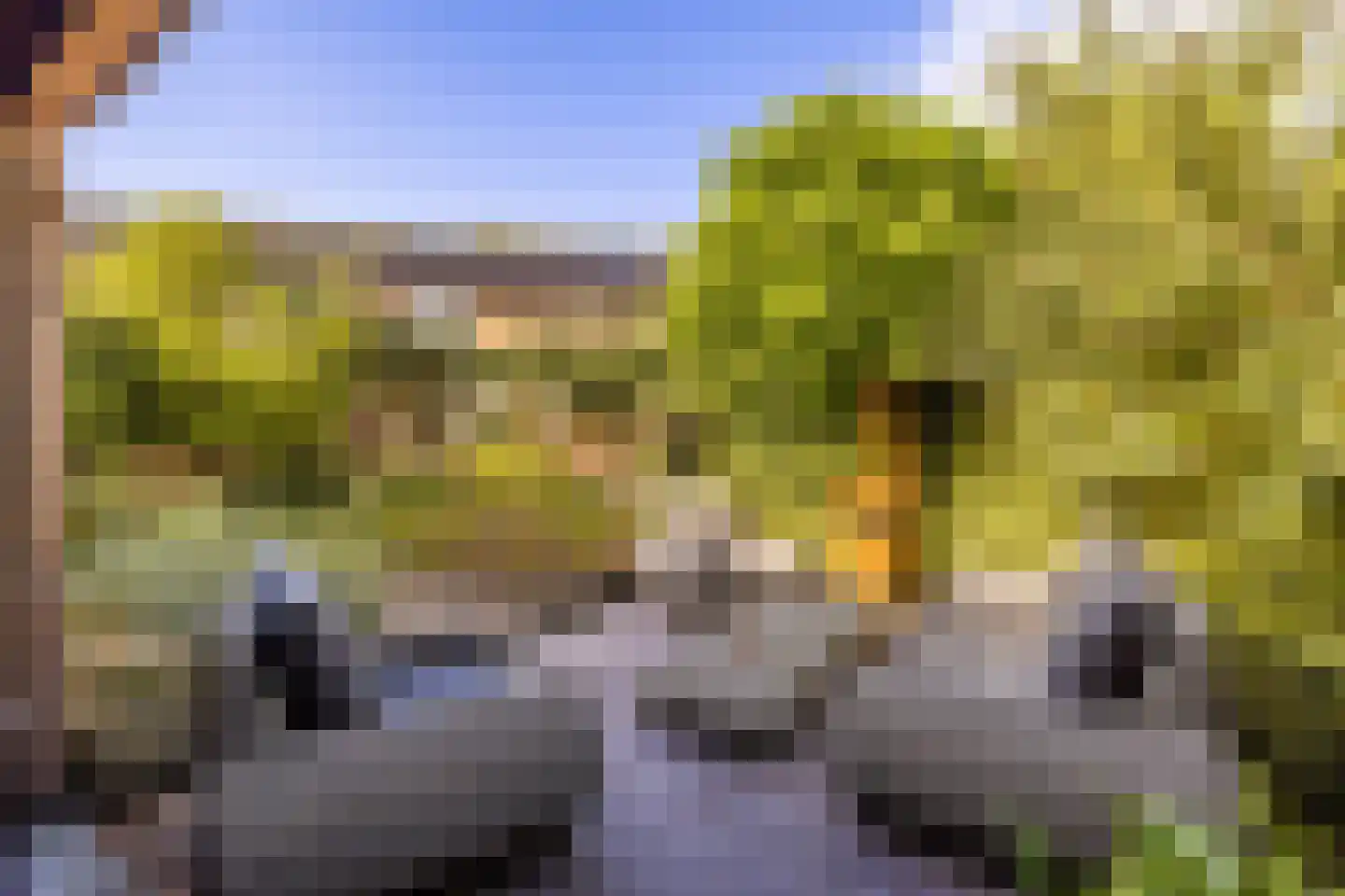 Huygenswende 10 Hillegom thumbnail 54