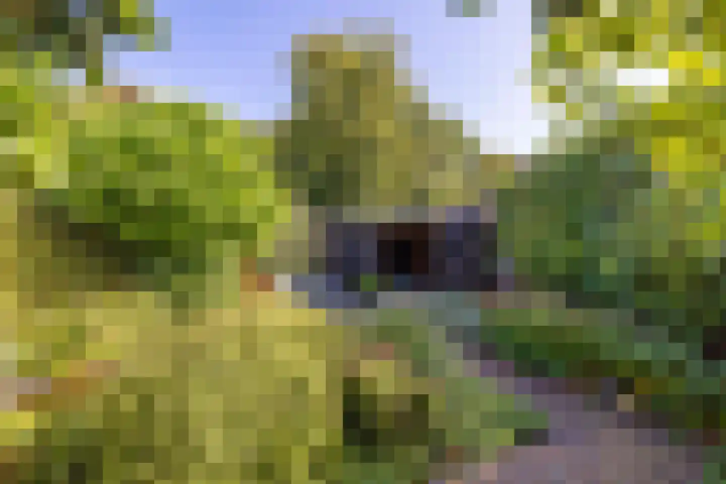 Huygenswende 10 Hillegom thumbnail 6