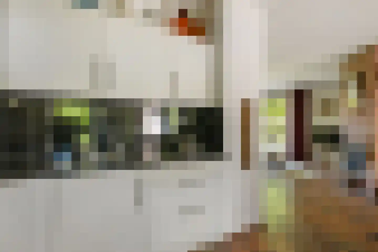 Huygenswende 16 Hillegom thumbnail 19