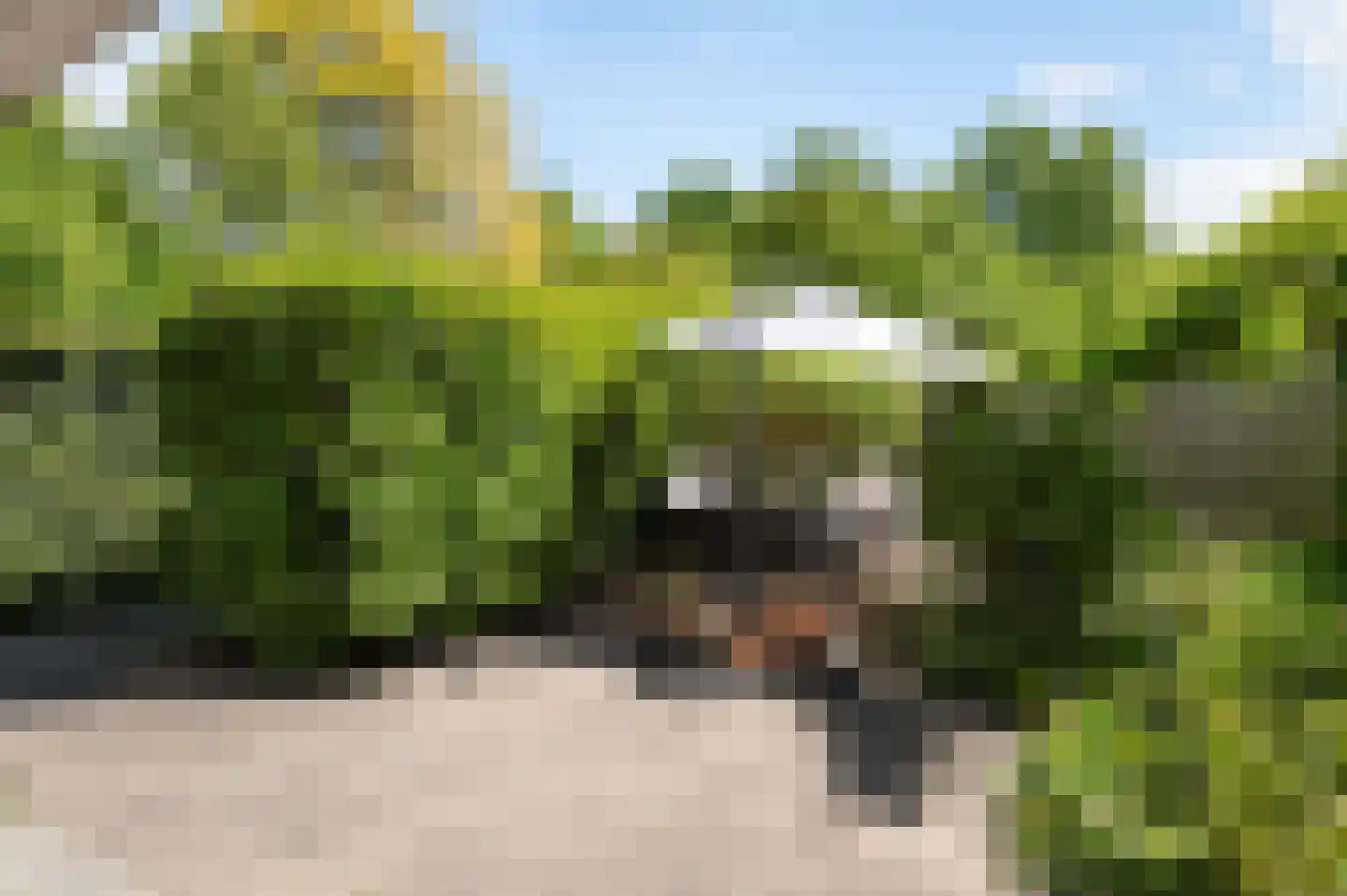 Huygenswende 16 Hillegom thumbnail 21