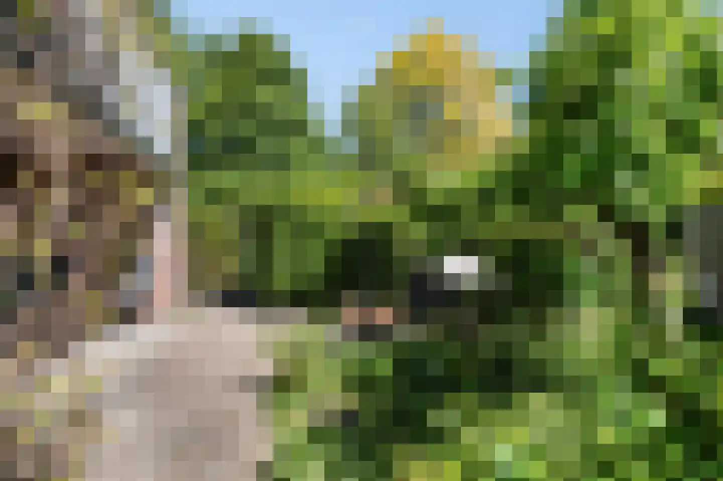 Huygenswende 16 Hillegom thumbnail 23