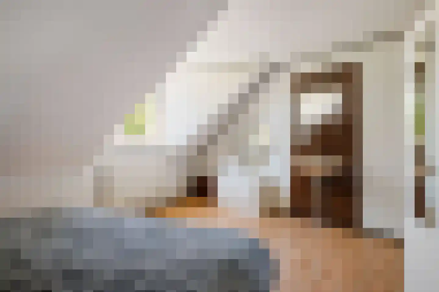 Huygenswende 16 Hillegom thumbnail 29
