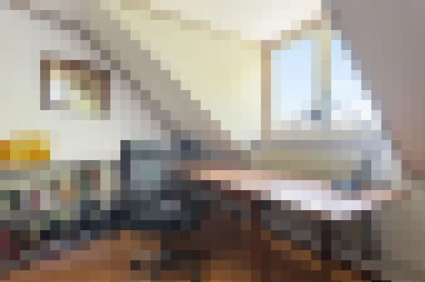 Huygenswende 16 Hillegom thumbnail 32
