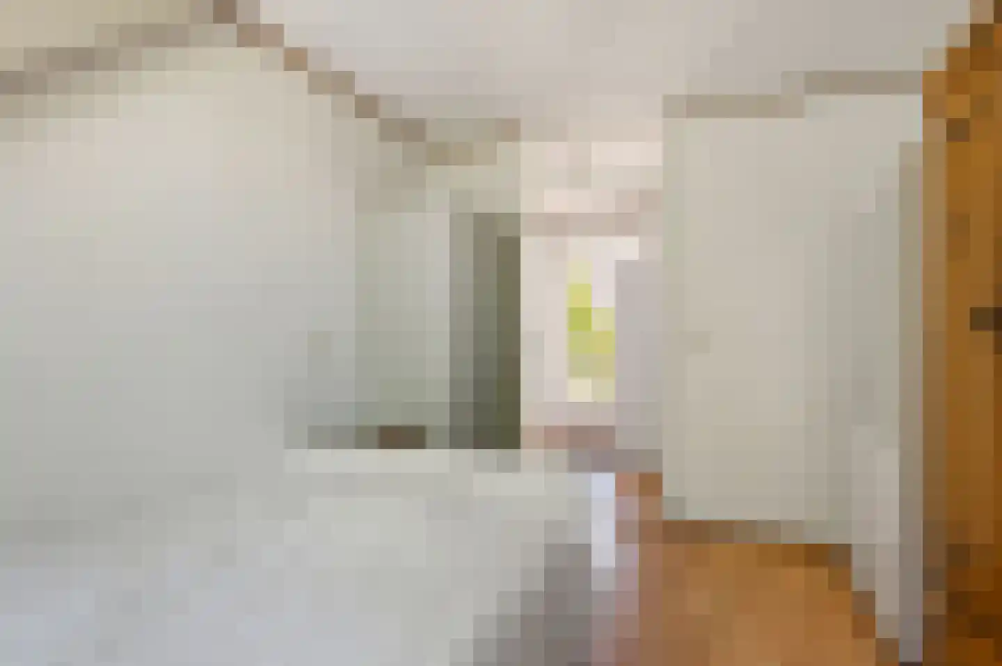 Huygenswende 16 Hillegom thumbnail 37
