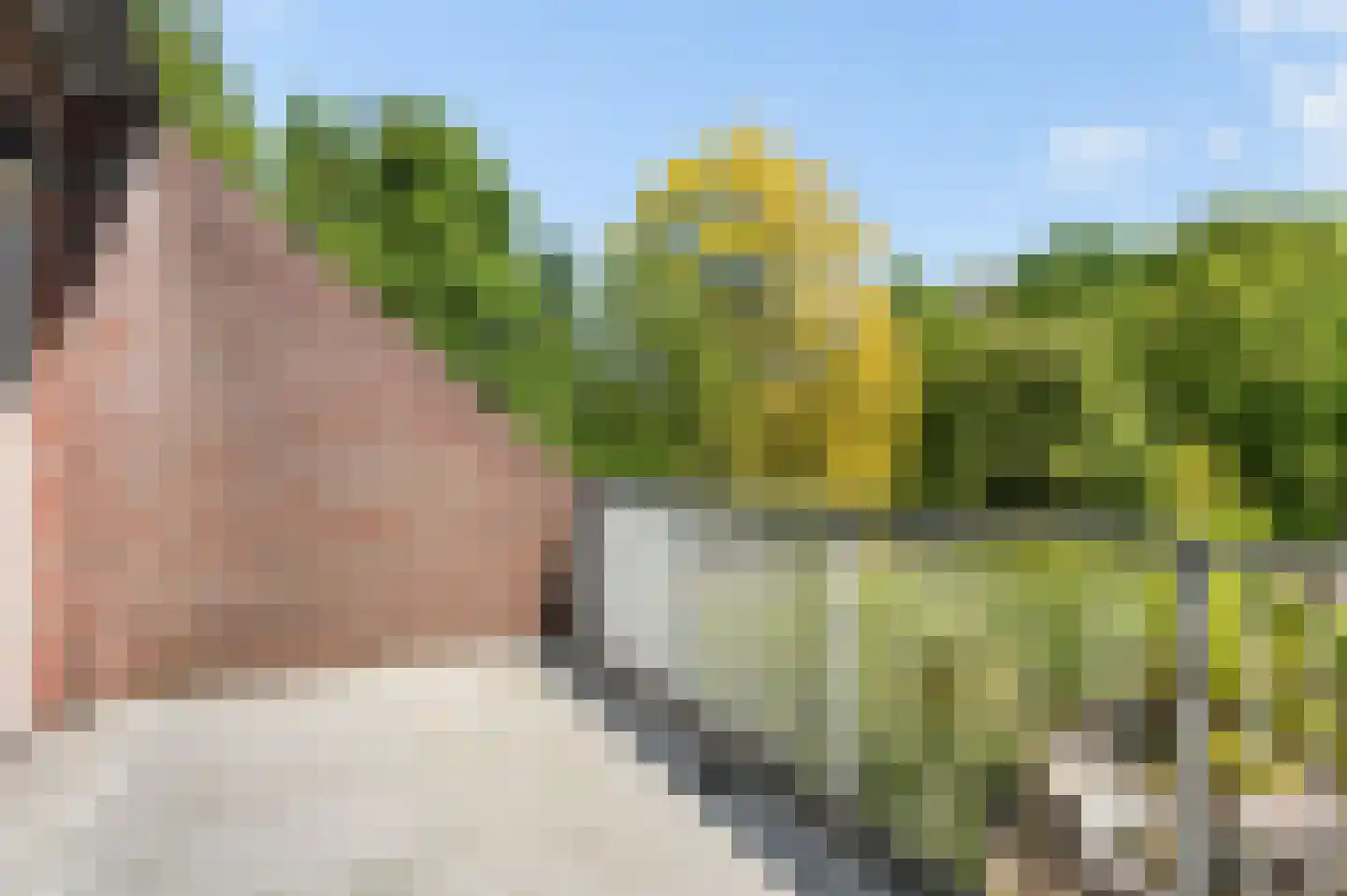 Huygenswende 16 Hillegom thumbnail 40