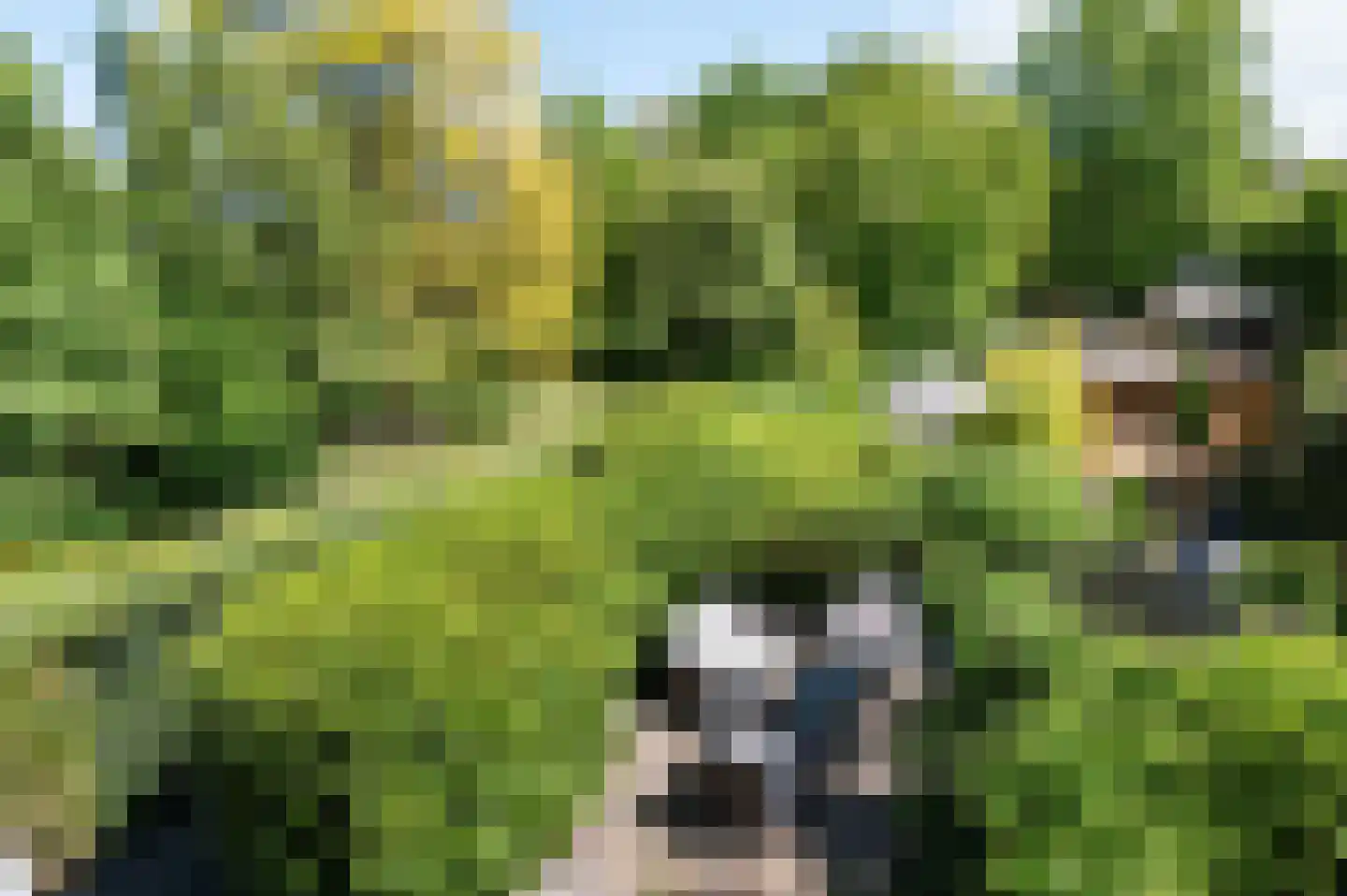 Huygenswende 16 Hillegom thumbnail 42