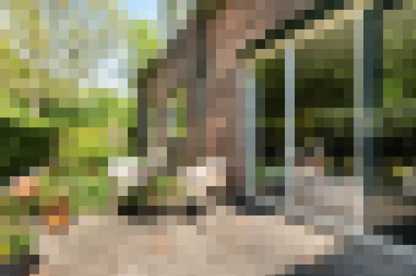 Huygenswende 16 Hillegom thumbnail 43