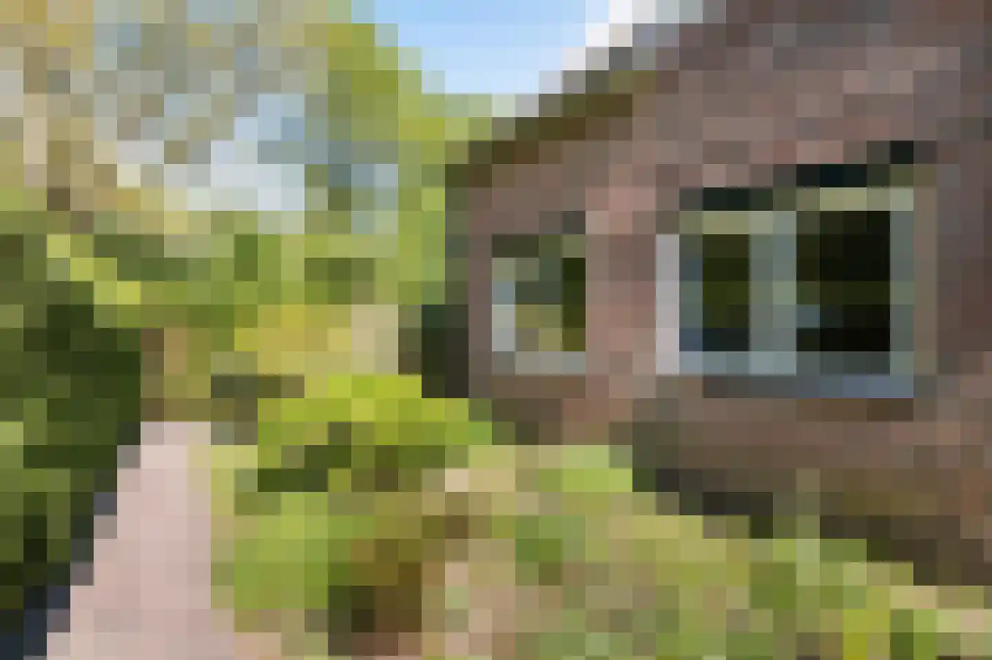 Huygenswende 16 Hillegom thumbnail 45