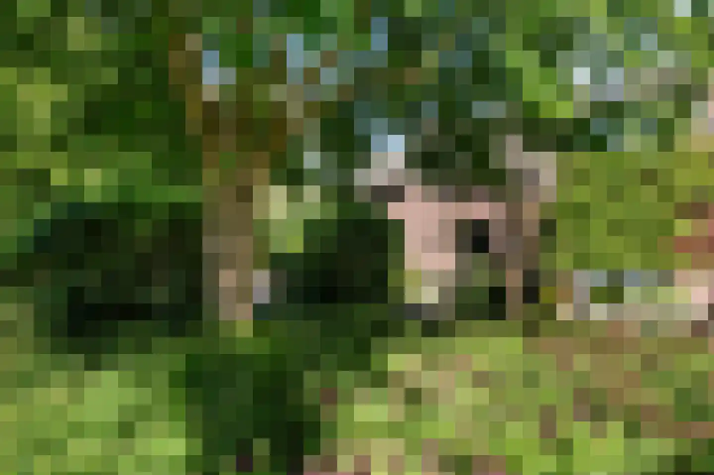Huygenswende 16 Hillegom thumbnail 46