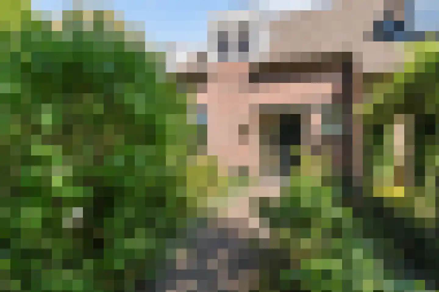 Huygenswende 16 Hillegom thumbnail 5