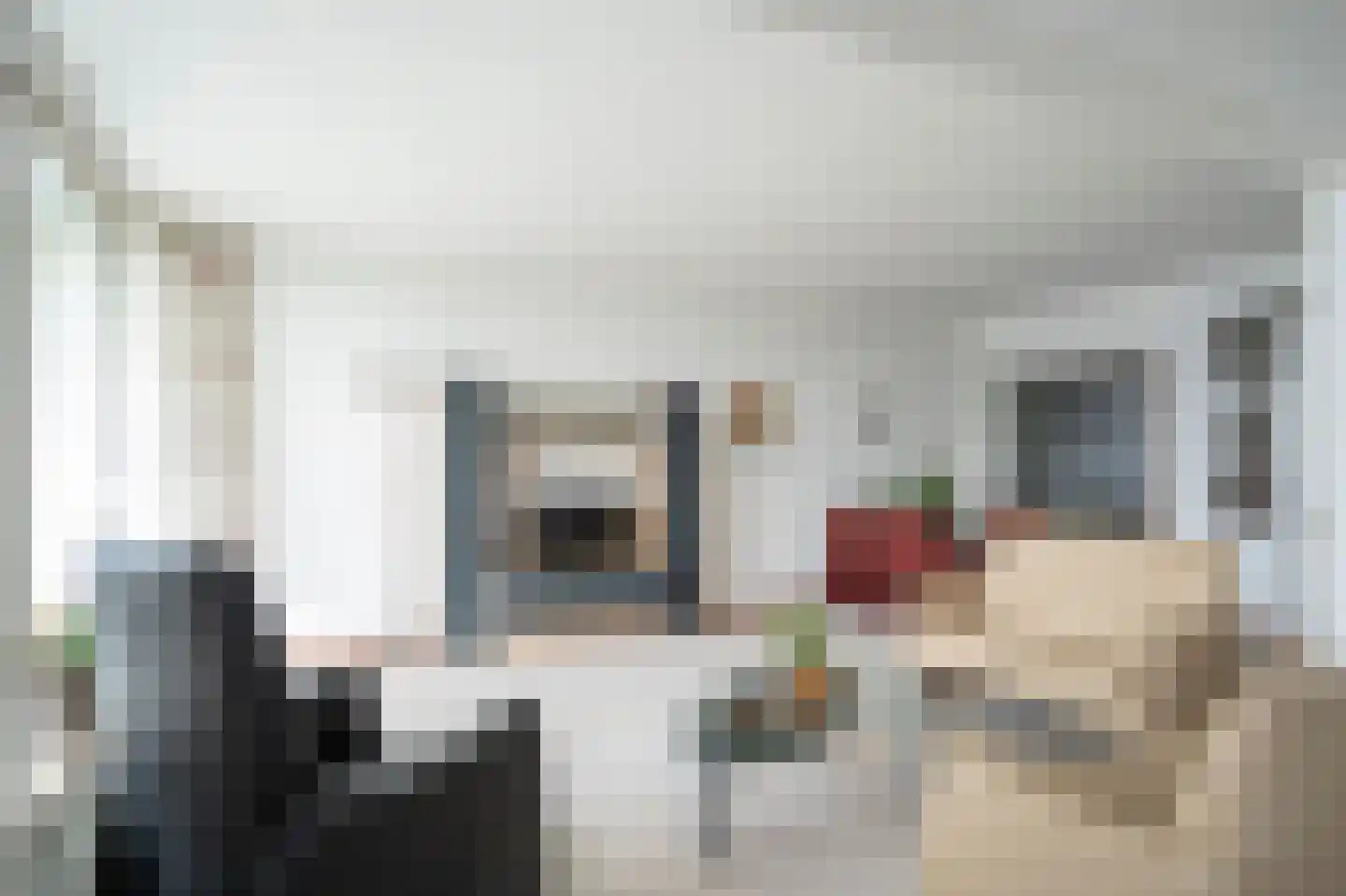 Huys de Merwede 11 Papendrecht thumbnail 11
