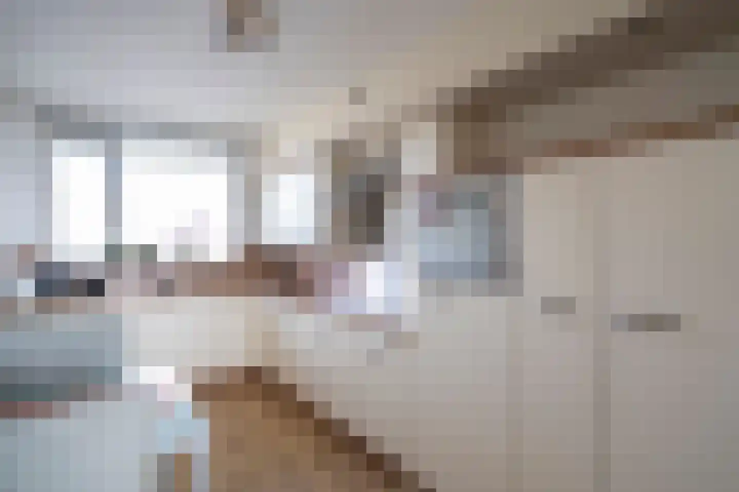 Huys de Merwede 11 Papendrecht thumbnail 13