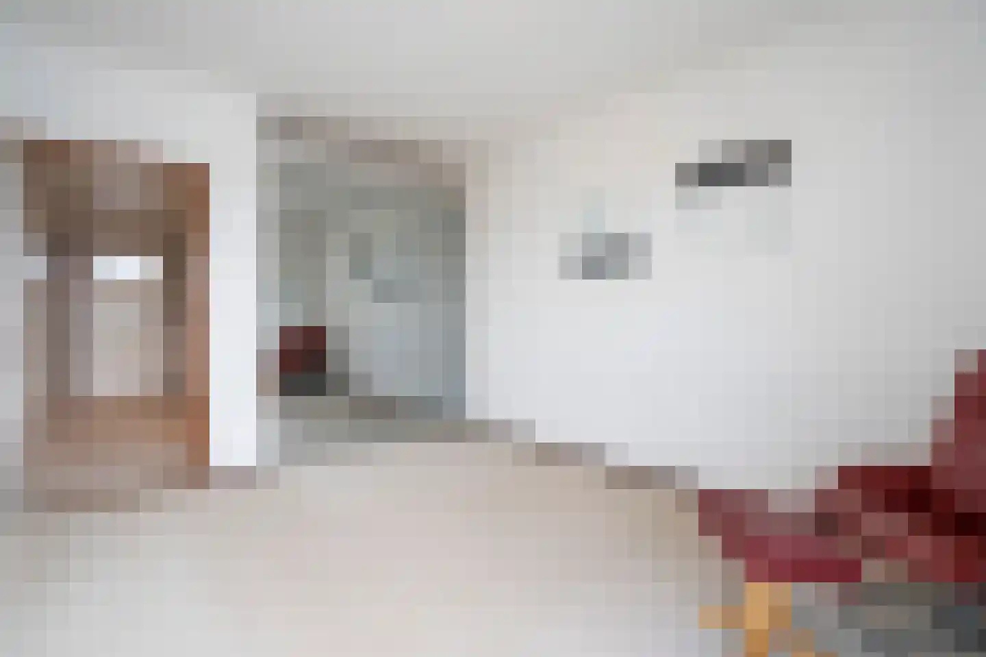 Huys de Merwede 11 Papendrecht thumbnail 19