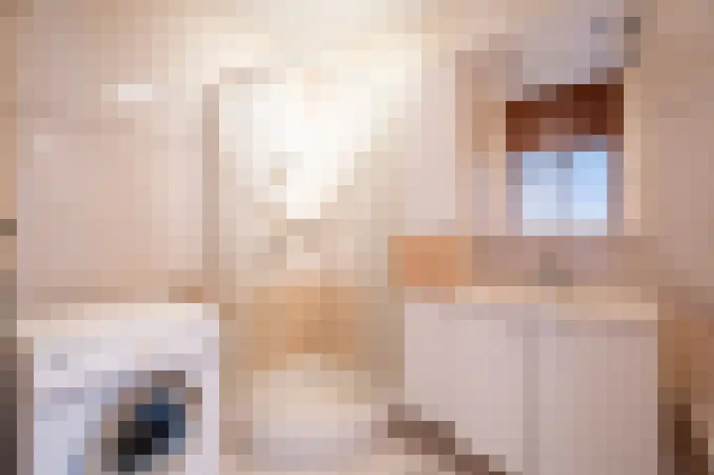 Huys de Merwede 11 Papendrecht thumbnail 22