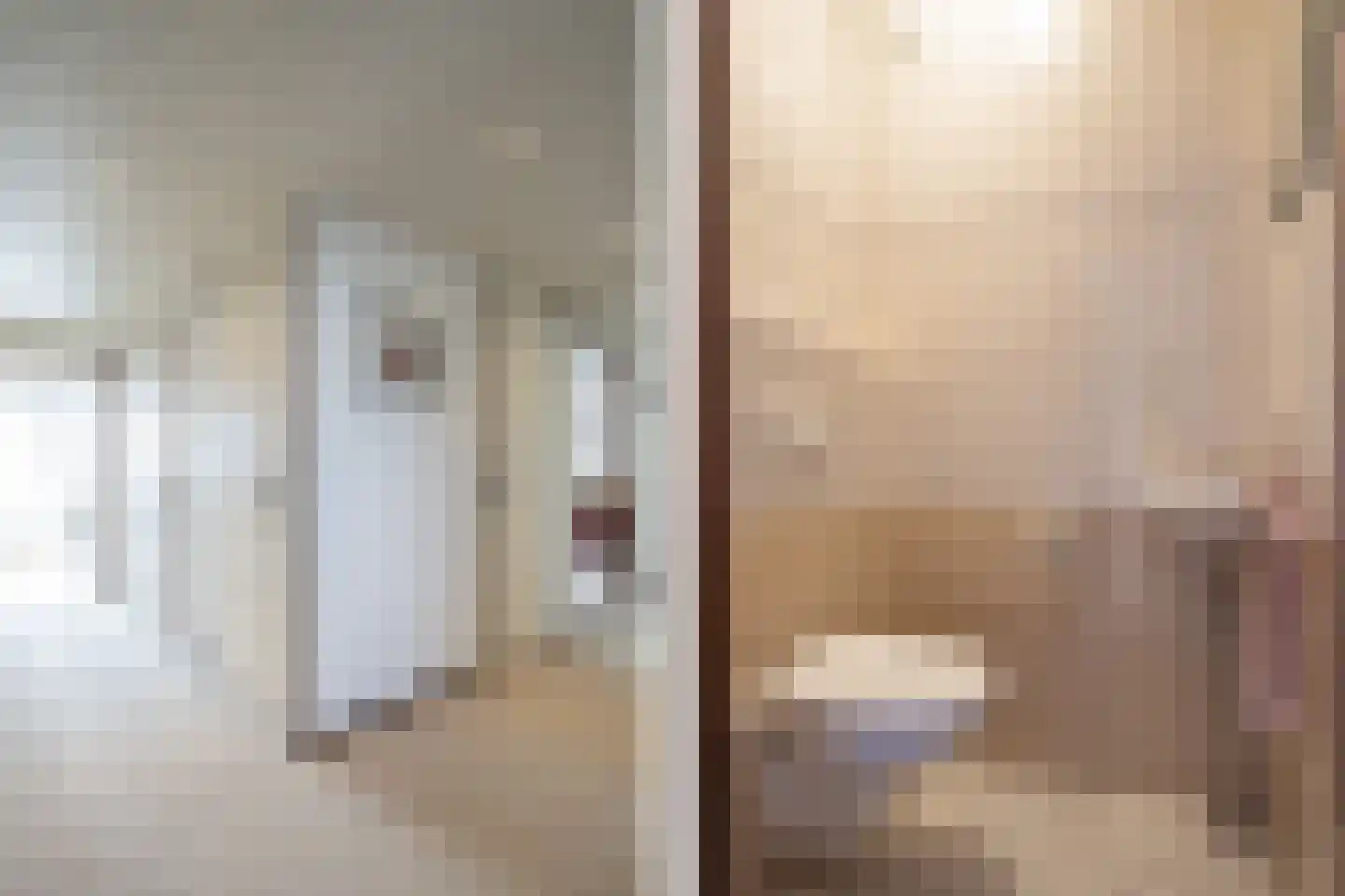 Huys de Merwede 11 Papendrecht thumbnail 27