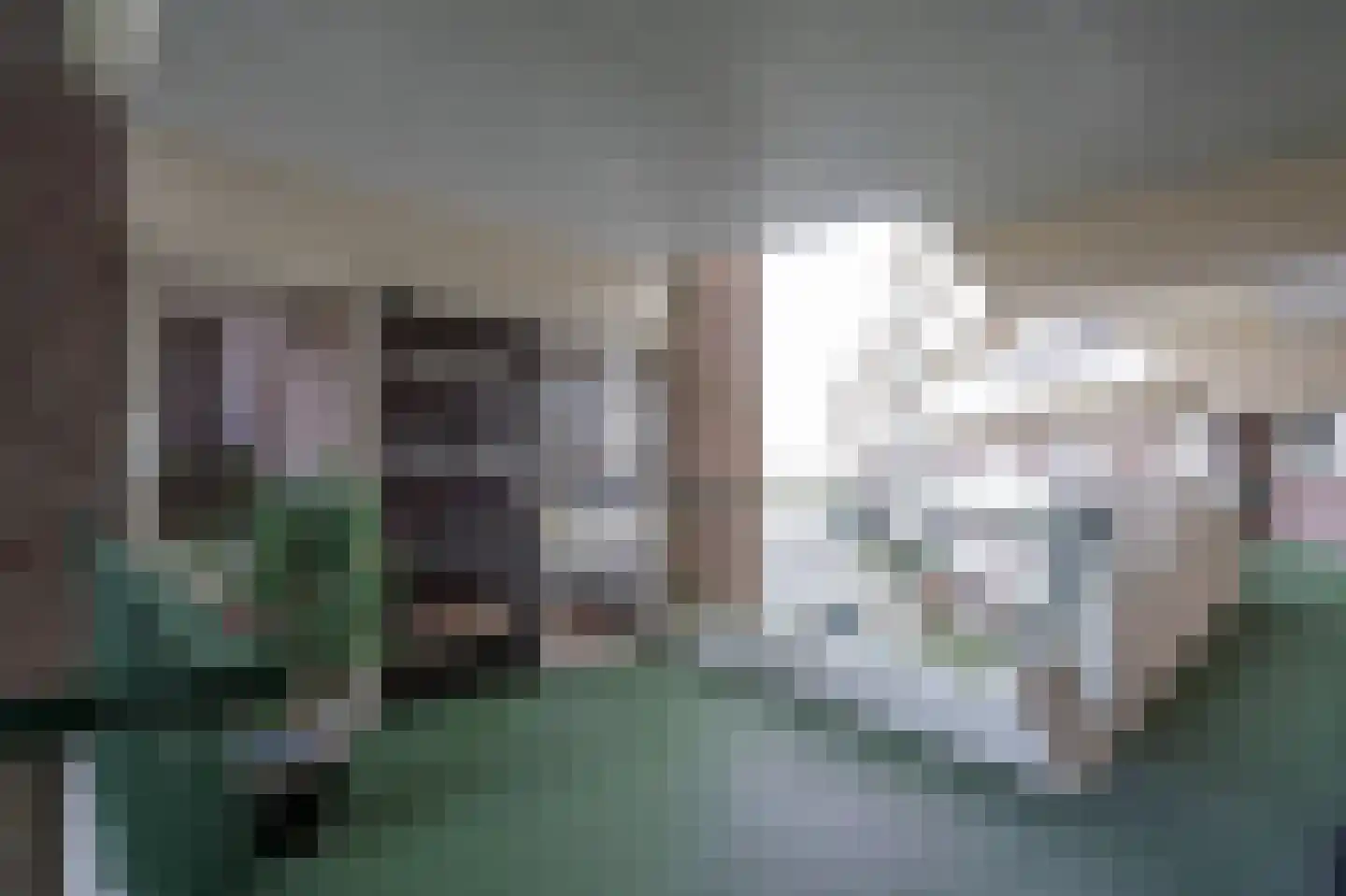 Huys de Merwede 11 Papendrecht thumbnail 30