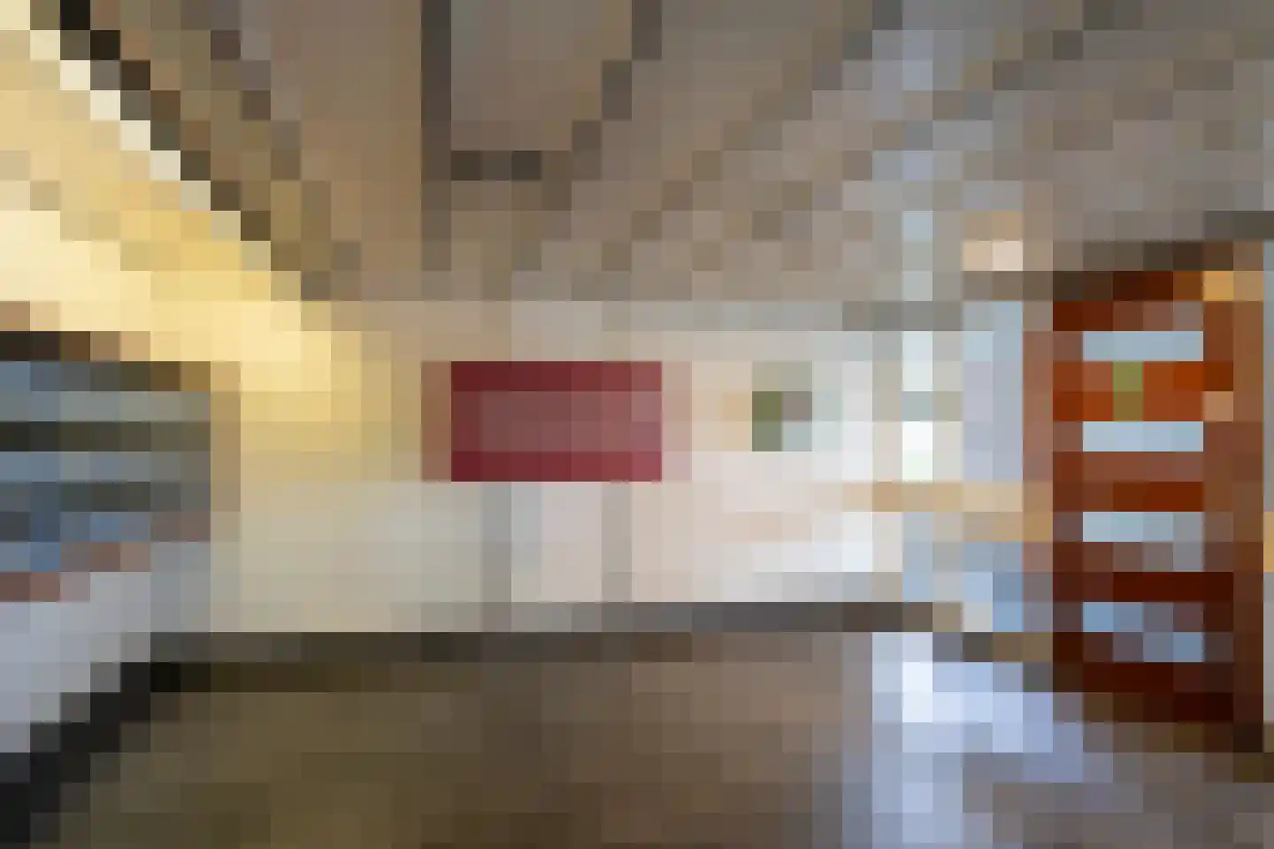 Huys de Merwede 11 Papendrecht thumbnail 32
