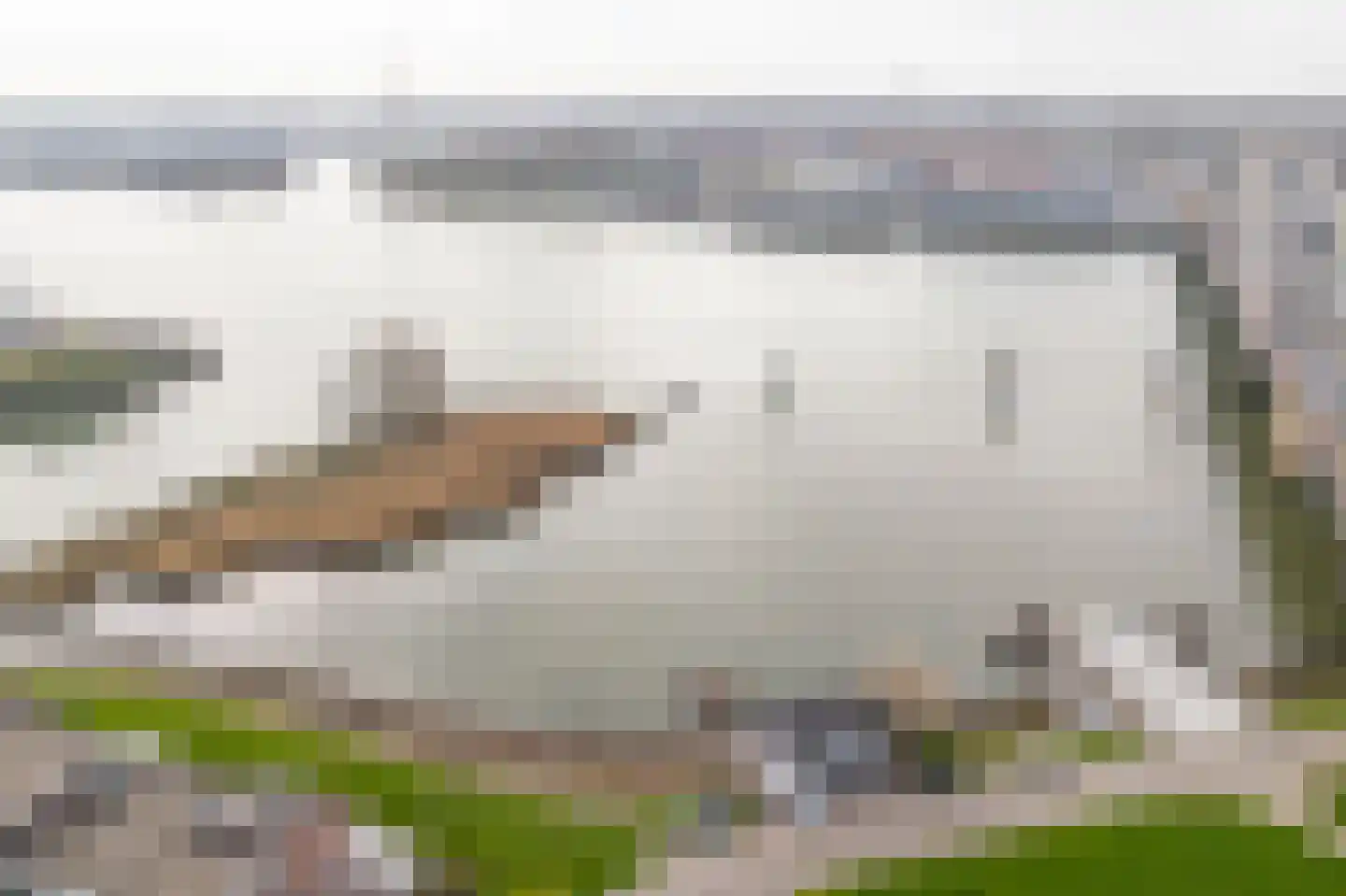 Huys de Merwede 11 Papendrecht thumbnail 37