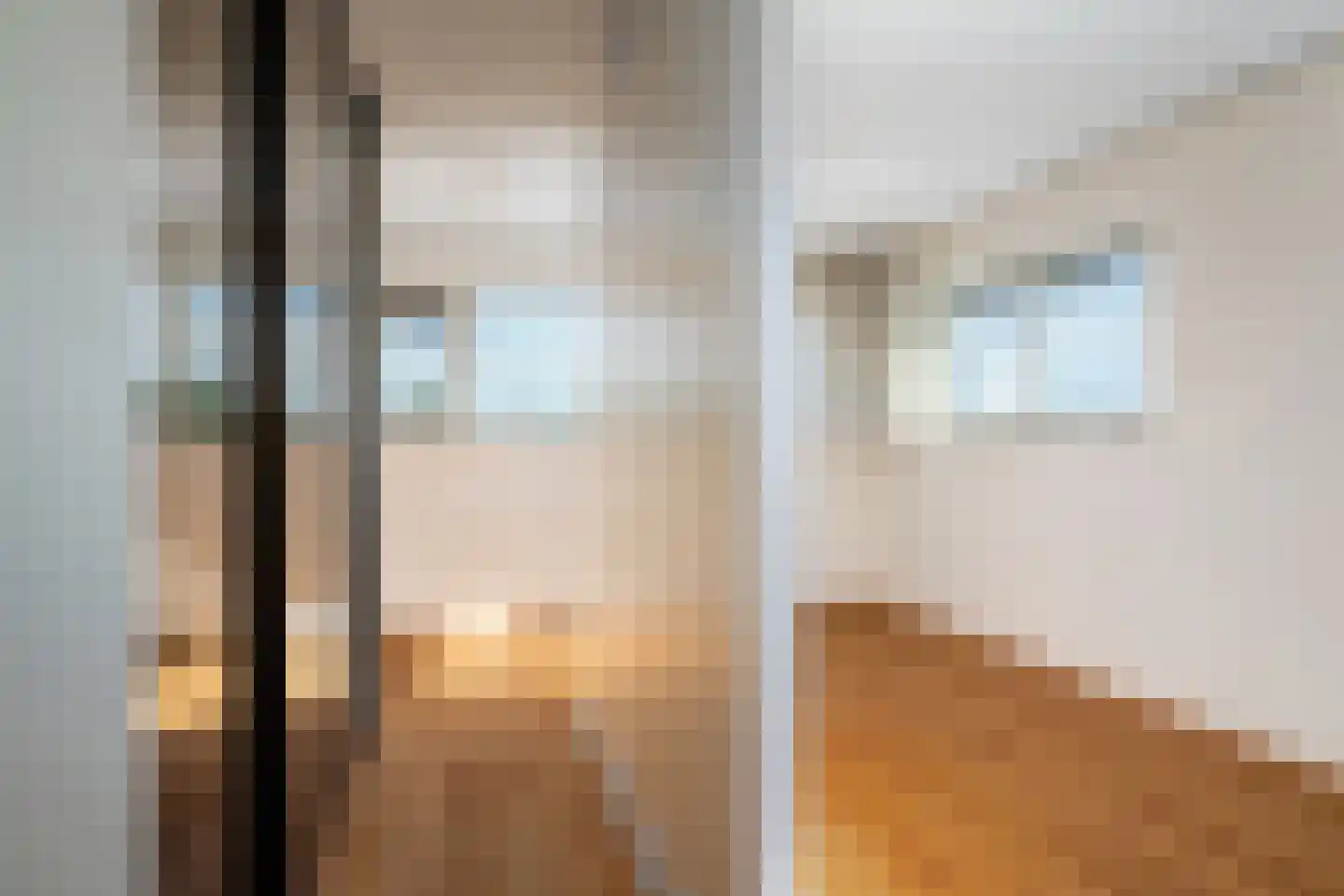 Huys de Merwede 57 Papendrecht thumbnail 16