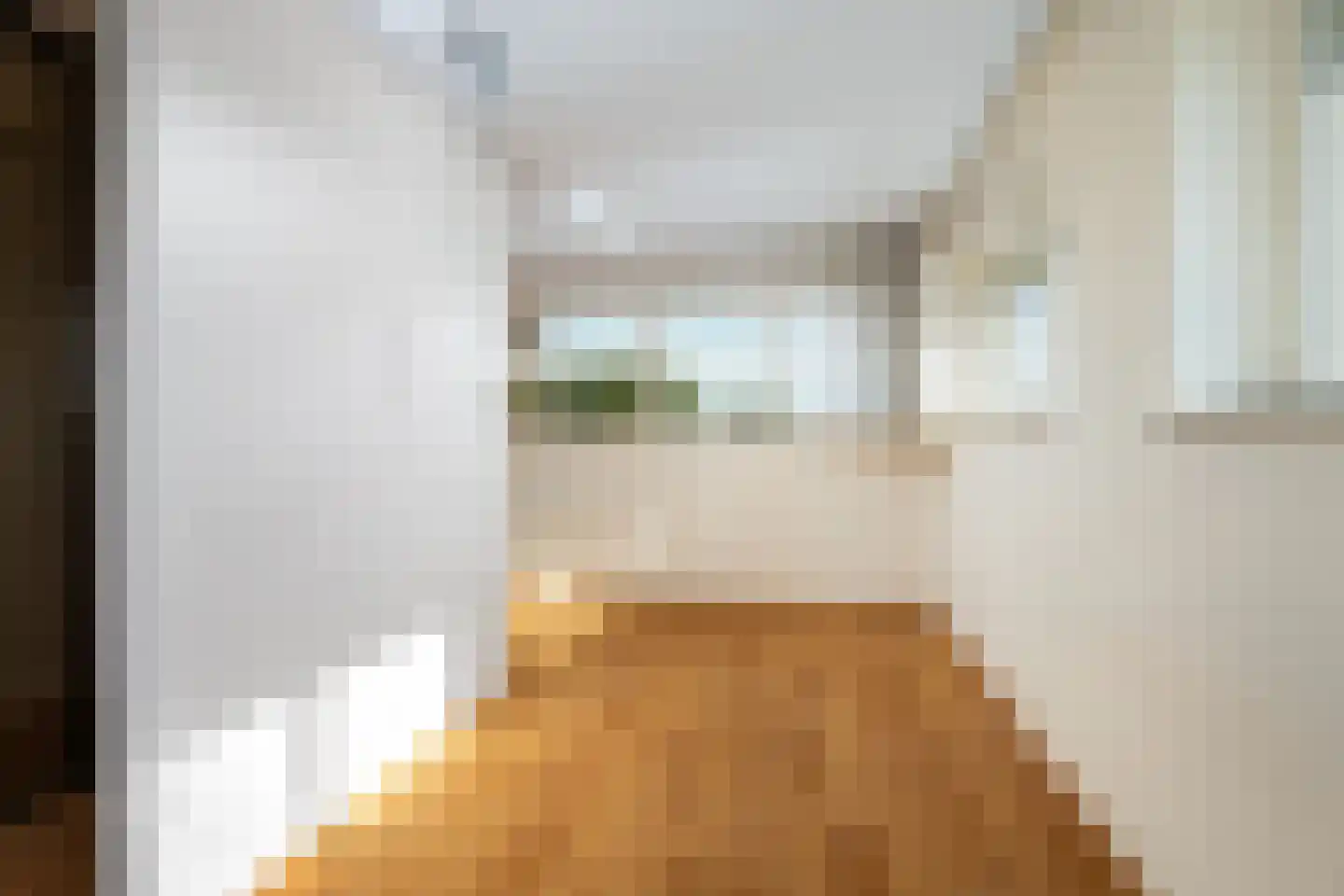 Huys de Merwede 57 Papendrecht thumbnail 17