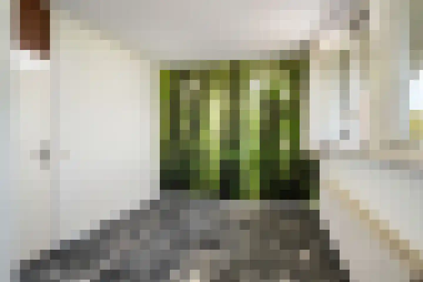 Huys de Merwede 57 Papendrecht thumbnail 20