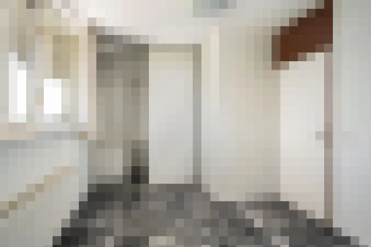 Huys de Merwede 57 Papendrecht thumbnail 21