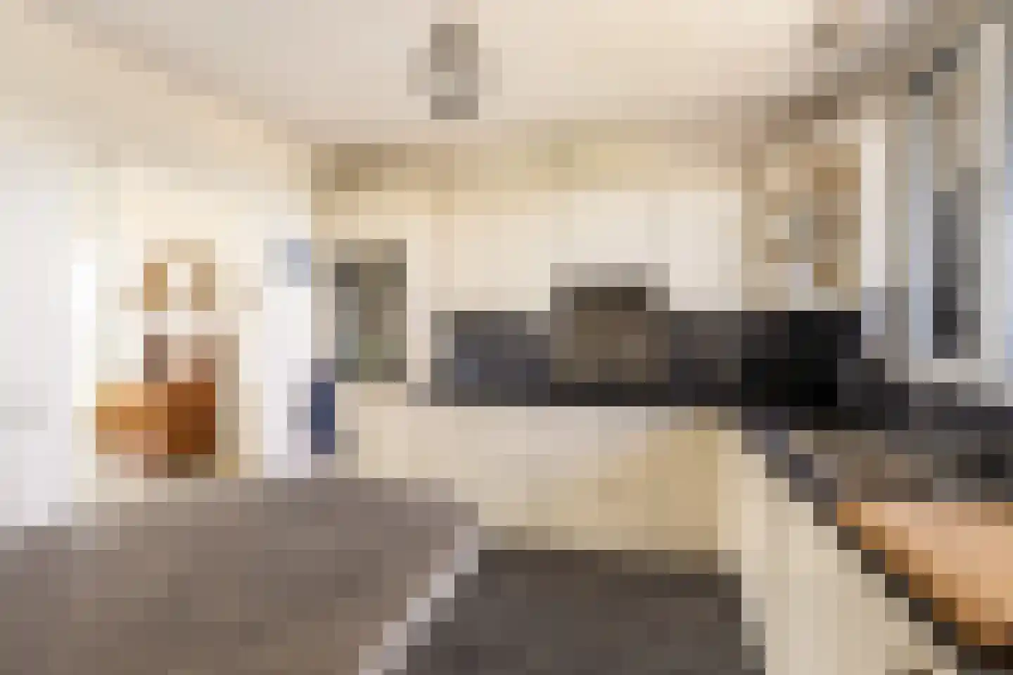 Huys de Merwede 61 Papendrecht thumbnail 16