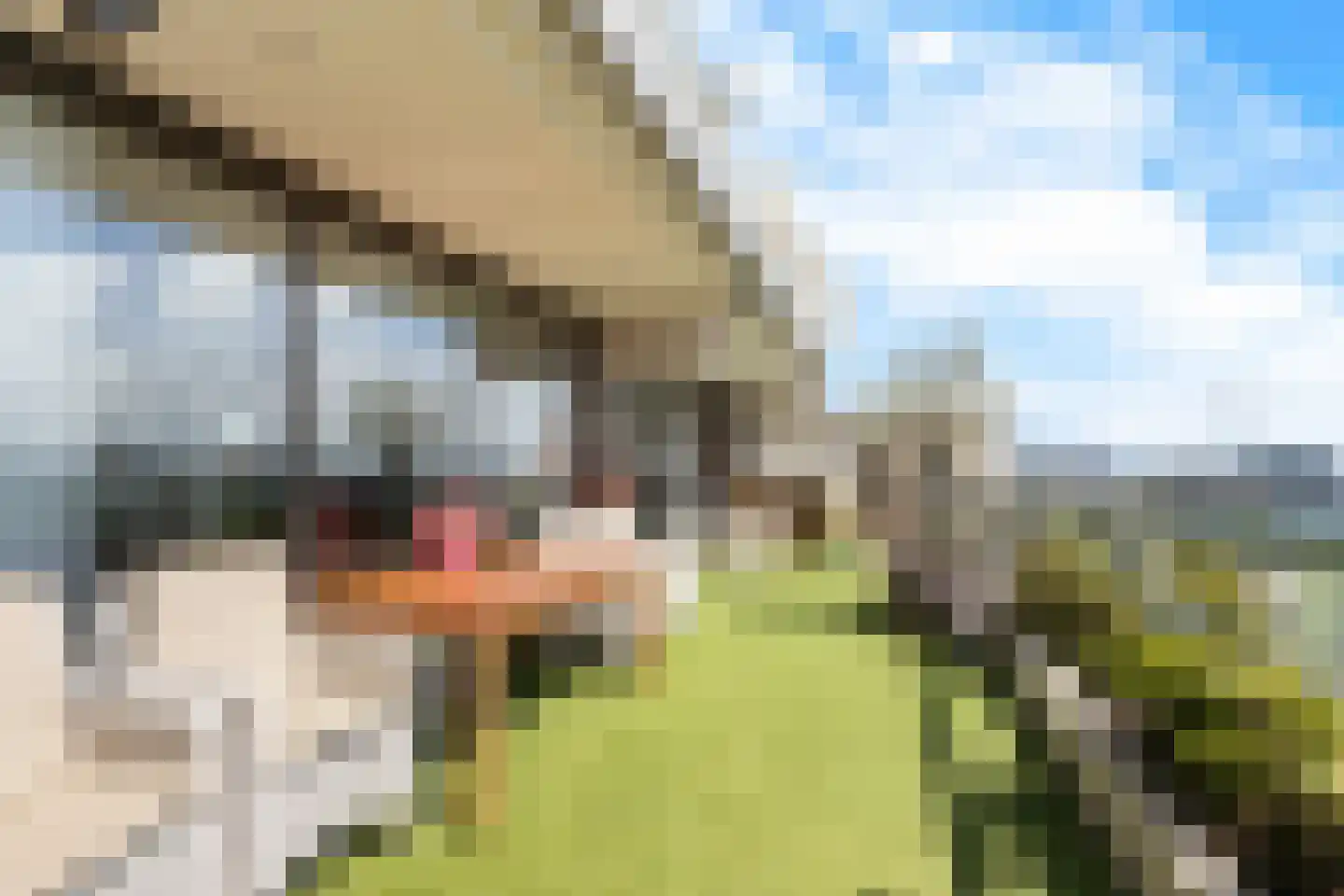 Huys de Merwede 61 Papendrecht thumbnail 17