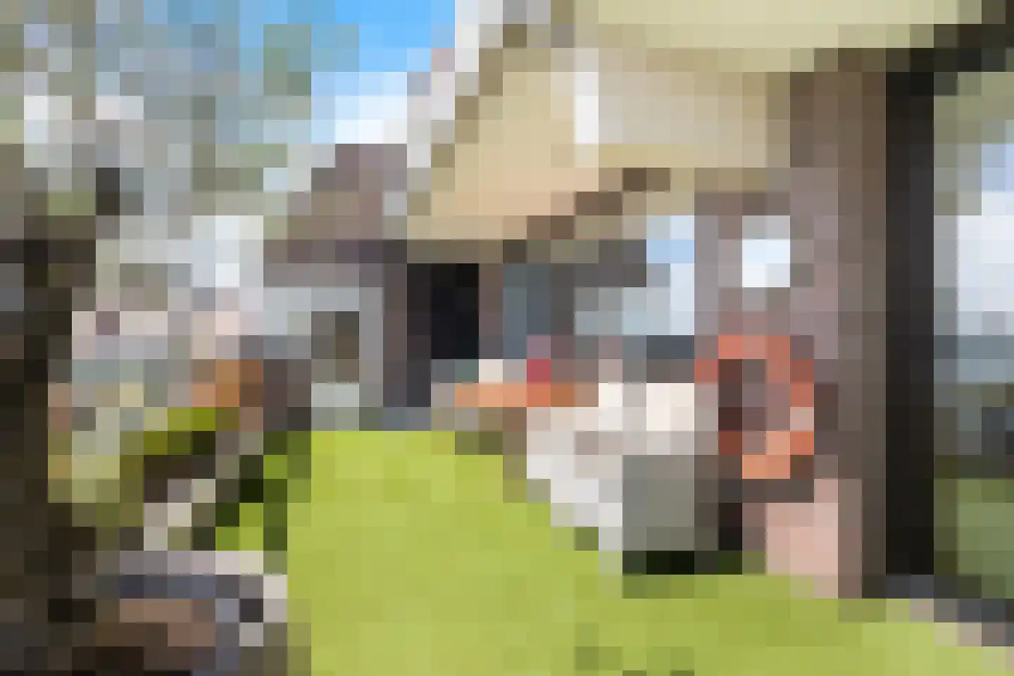 Huys de Merwede 61 Papendrecht thumbnail 18