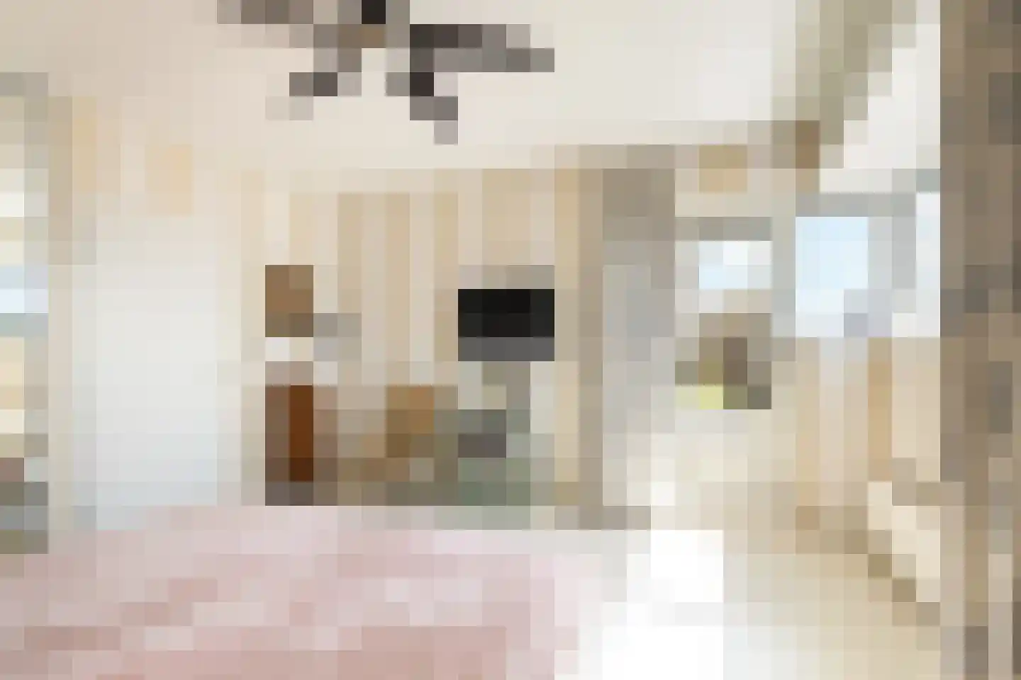 Huys de Merwede 61 Papendrecht thumbnail 21