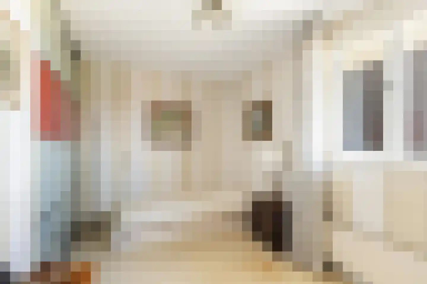 Huys de Merwede 61 Papendrecht thumbnail 23
