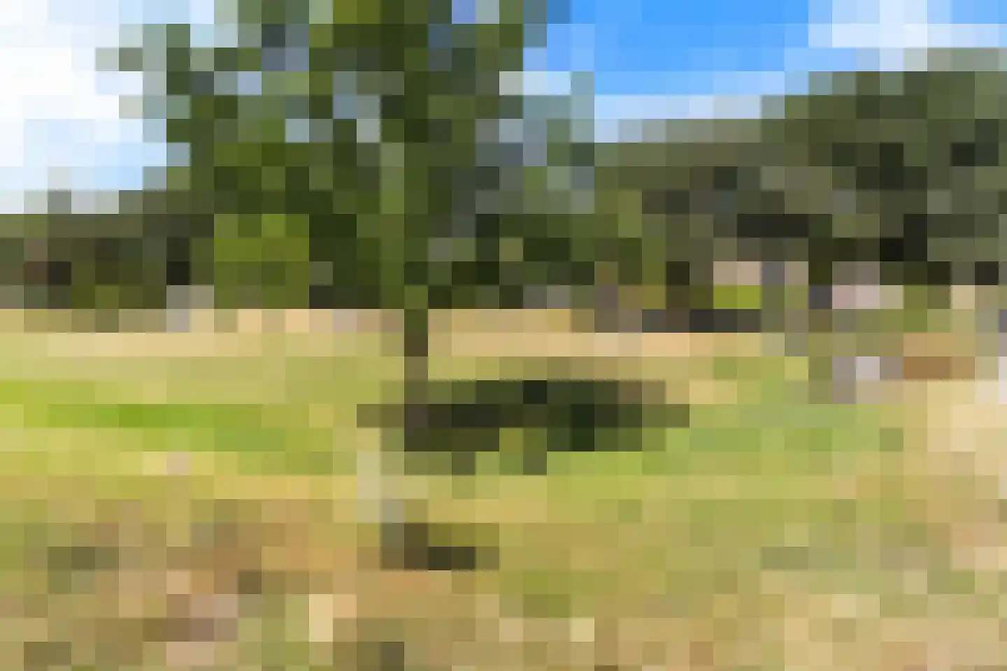 Huys de Merwede 61 Papendrecht thumbnail 36