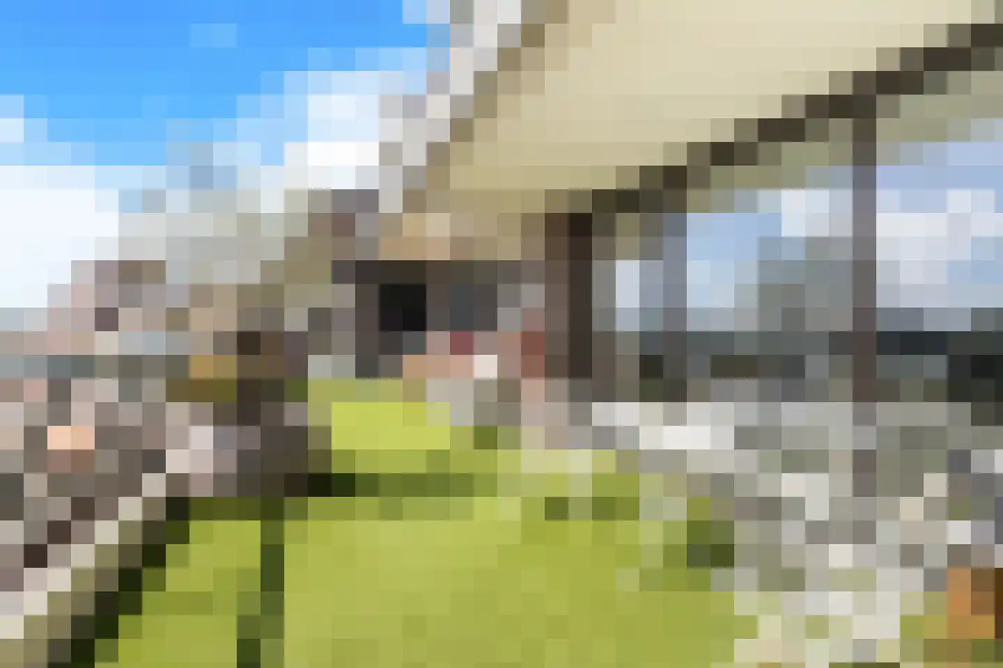 Huys de Merwede 61 Papendrecht thumbnail 4