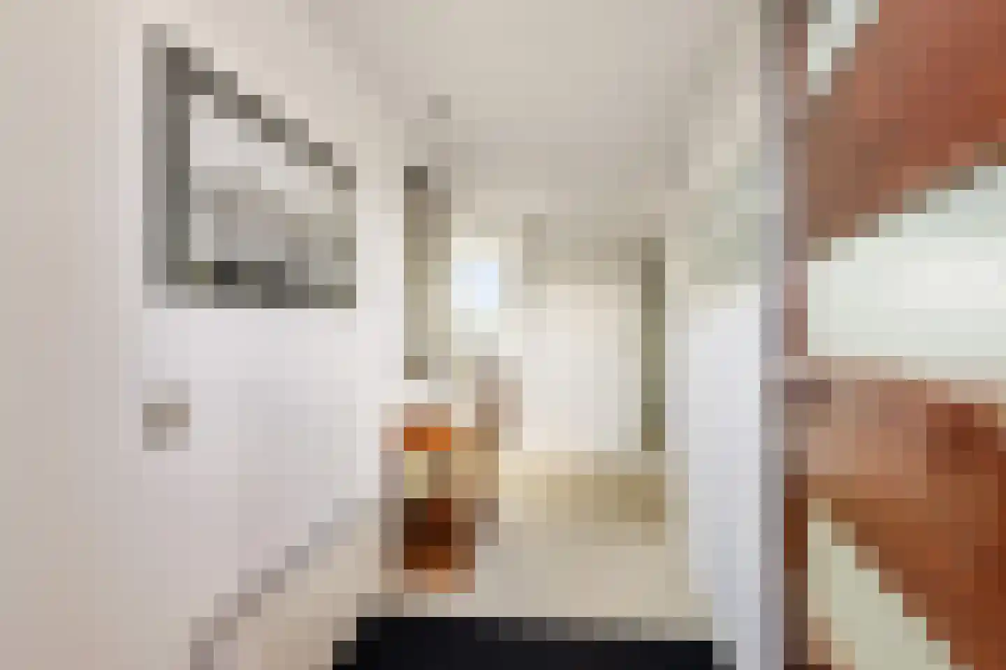 Huys de Merwede 61 Papendrecht thumbnail 7