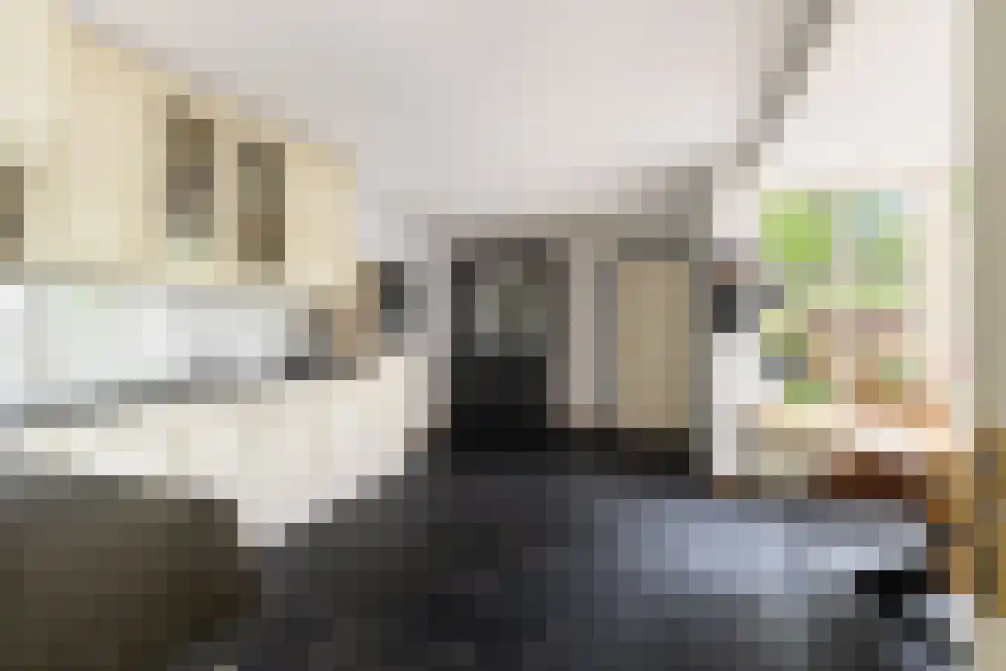 Huysacker 13 Udenhout thumbnail 19