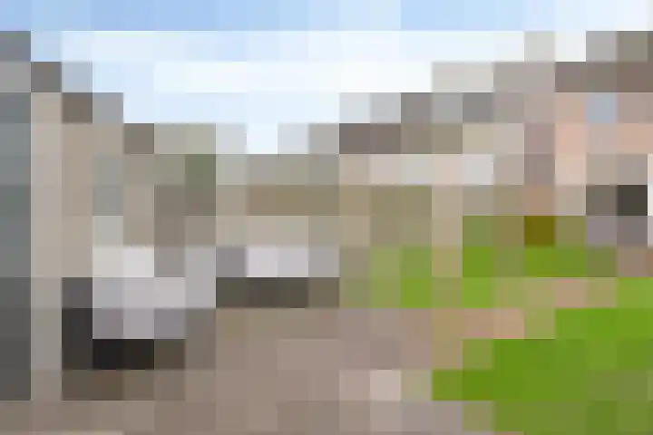 Huysacker 2 Oisterwijk thumbnail 30