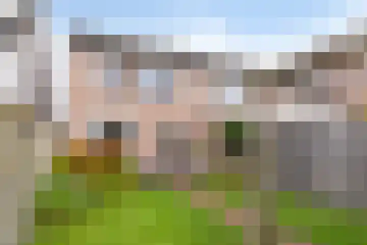 Huysacker 2 Oisterwijk thumbnail 32