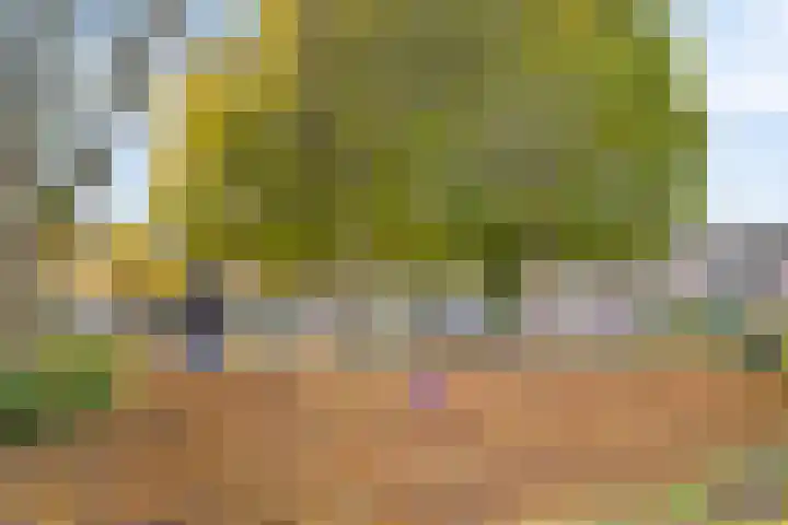 Huysacker 2 Oisterwijk thumbnail 35