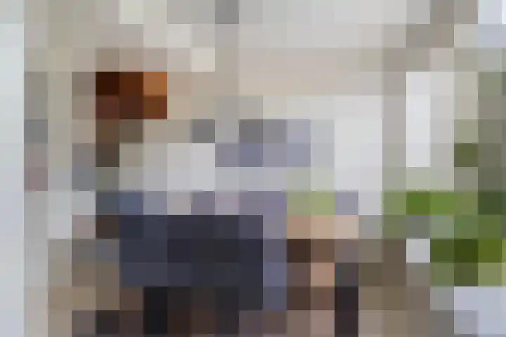 Huysweer 13 Hendrik-Ido-Ambacht thumbnail 16