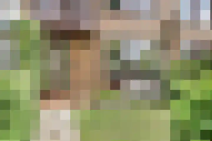 Huysweer 13 Hendrik-Ido-Ambacht thumbnail 6