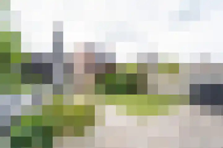 Huzaar 8 Gorinchem thumbnail 39