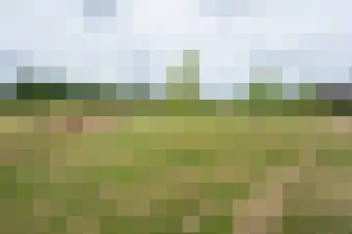 Huzaar 8 Gorinchem thumbnail 44