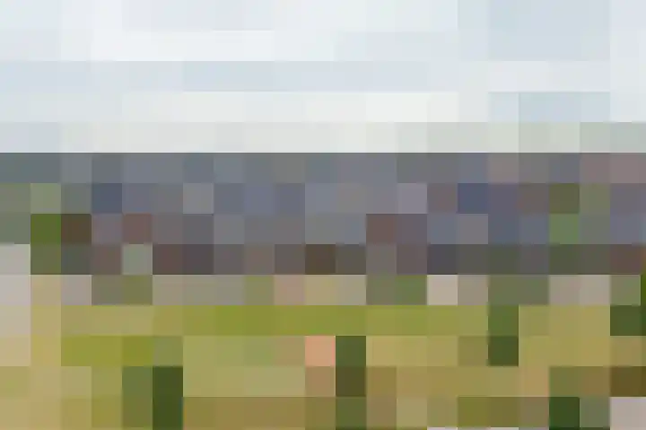 Huzaar 8 Gorinchem thumbnail 6