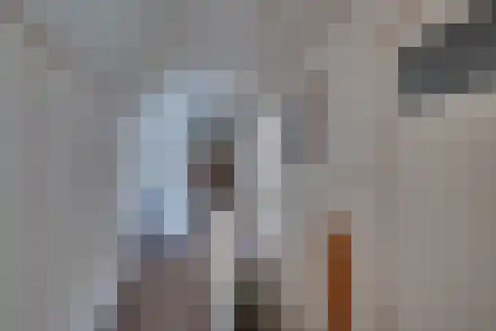 Huzarenlaan 14 Joppe thumbnail 21