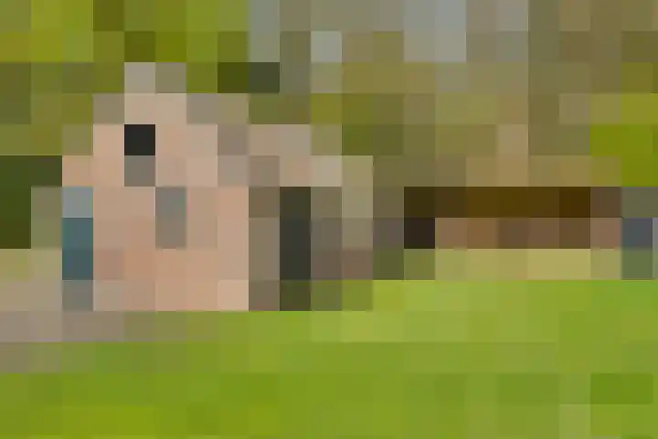 Huzarenlaan 14 Joppe thumbnail 28