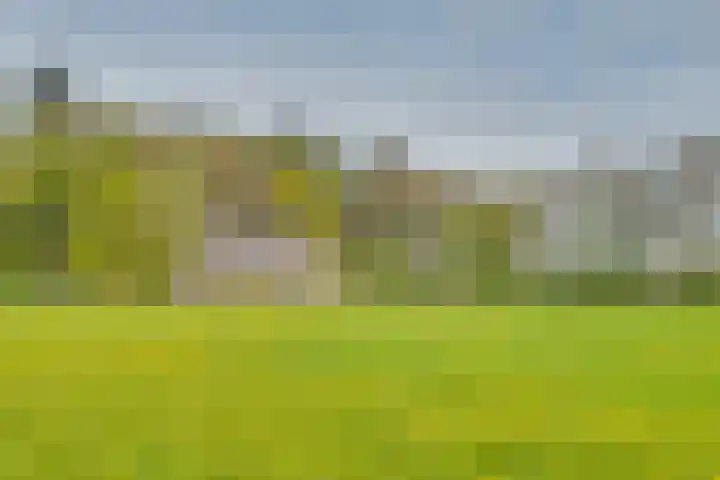 Huzarenlaan 14 Joppe thumbnail 31