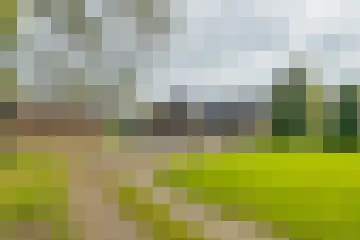 Huzarenlaan 14 Joppe thumbnail 34